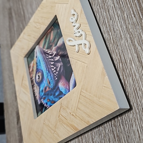 Framed 4x4 Chameleon Gecko Hybrid Lizard Art Watercolor Oil Painting Print - Picture 5 of 9